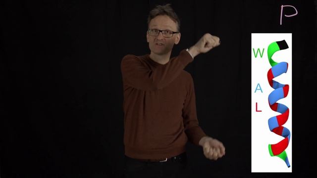 Concept 08: The WALP (W,A,L,P) helix and its use to study mismatching