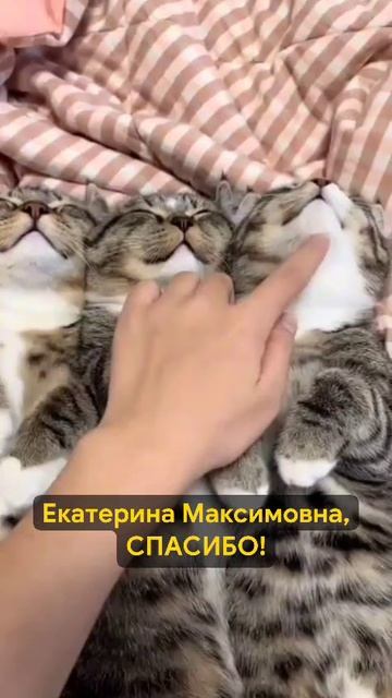 Спасибо