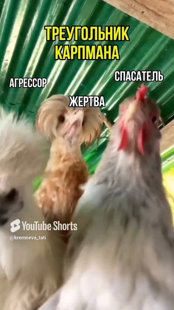 Хотите знать больше_ Подписывайтесь!🤗 #психология #отношения #любовь #уверенностьвсебе #развитие
