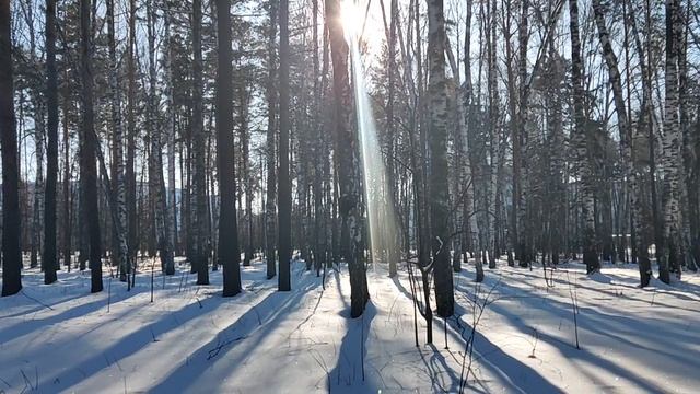 На солнце ☀️ Россия быстро трансформируется - медленная, поэтапная очистка и обновление. Новые элиты