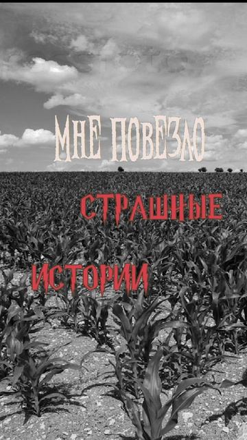Мне повезло | Страшные истории на ночь | Страшилки на ночь #shorts #shortsvideo