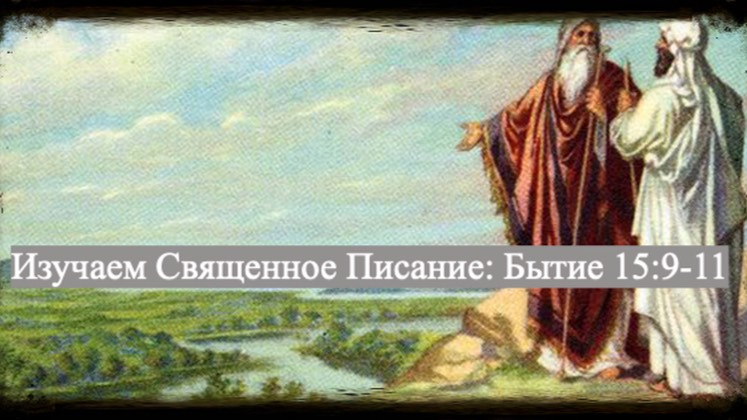 Изучаем Священное Писание (Ветхий Завет): детальный разбор книги Бытия, 15 глава, стихи 9-11.