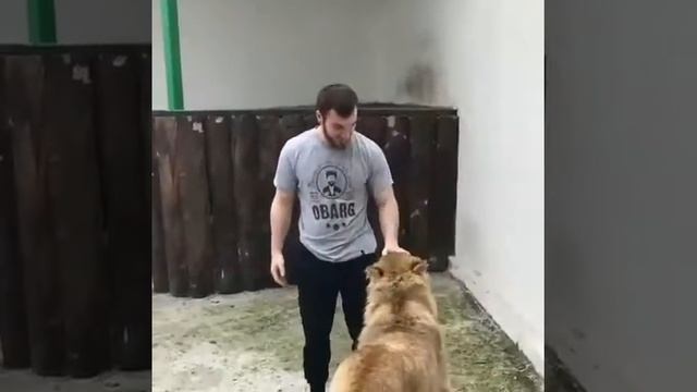 Чеченец владееть львом