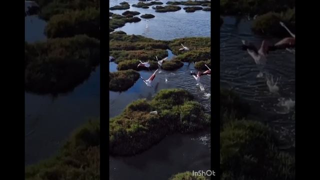 Без тебя.mp4