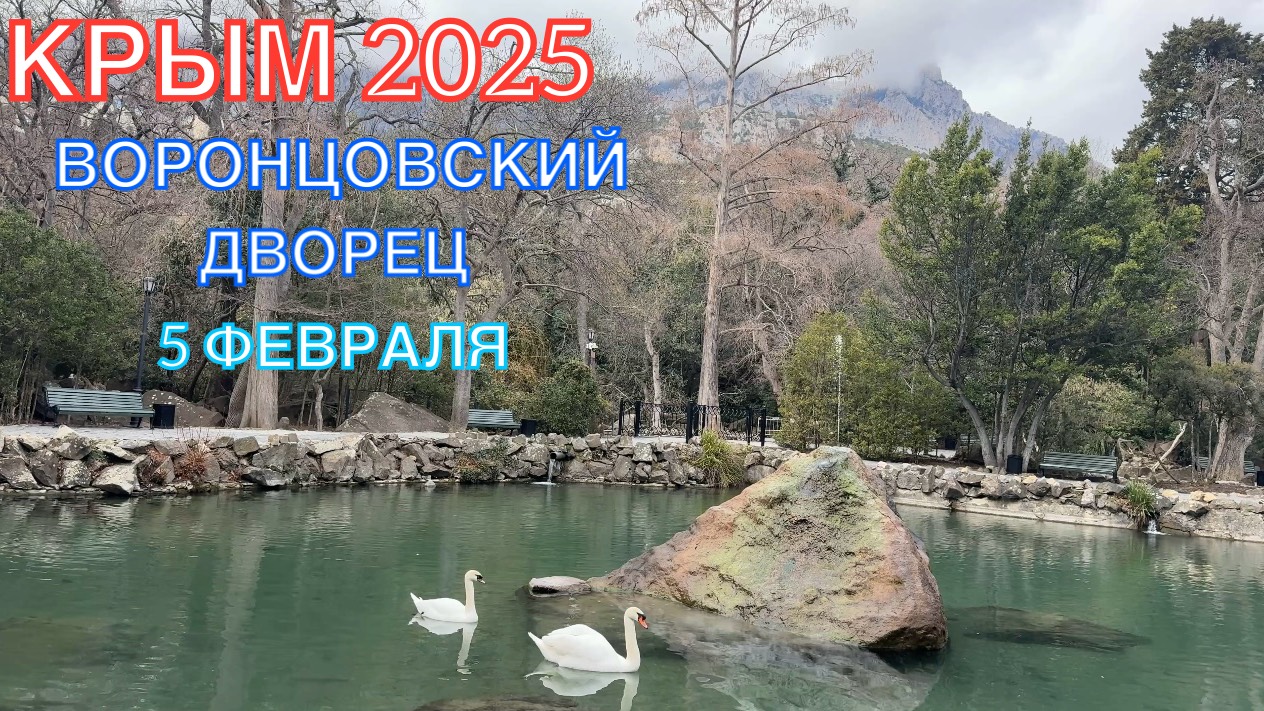 КРЫМ 2025 | ПРОГУЛКА ПО ВОРОНЦОВСКОМУ ДВОРЦУ | 5 ФЕВРАЛЯ ❤️🌊⛰🌴🏖🐬☀️🌹