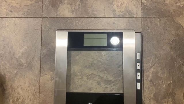 WHAT I WEIGH AFTER VACATION | post vacation weigh in | Journey to lose 100 pounds