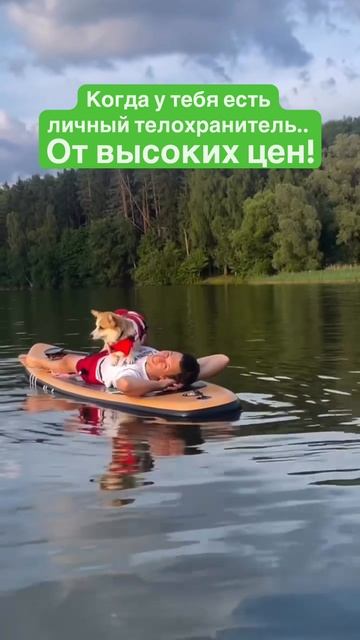 Когда у тебя есть личный телохранитель… от высоких цен!