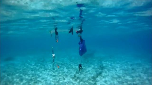 MAYA KING FREE DIVING HUNTING KIT.wmv
