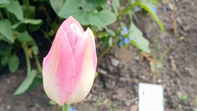 20240525_175445 (online-video-cutter.com)