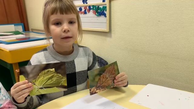 Мимикрия для дошкольников