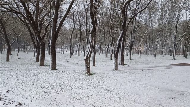 Керчь. Снег, прогулка по городу 06.02.25