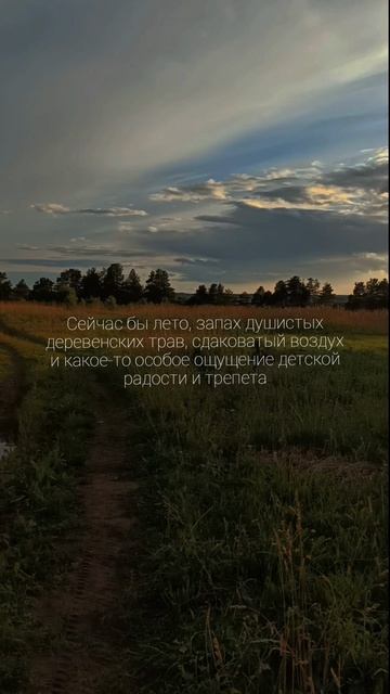 Эх, сейчас бы лето...