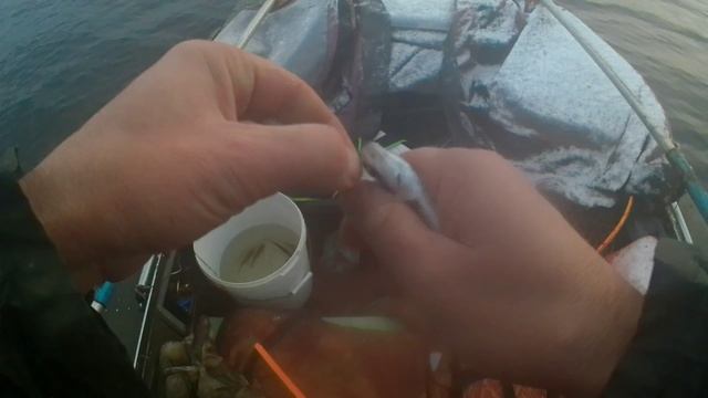 Щука, судак, окунь, уклея - что берёт?.mp4