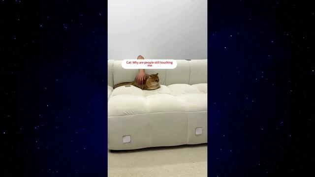 01. Я РЖАЛ ДО СЛЕЗ 😂 30 Минут ОТБОРНЫХ Русских приколов 2024 Смешные видео - Лучшие ПРИКОЛЫ 110