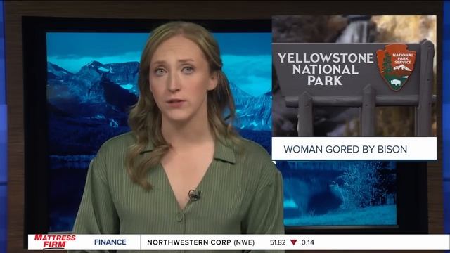 Bison gores 83-year-old woman in Yellowstone National Park