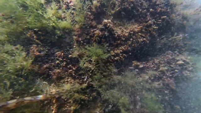 Xiaomi Mijia 4K Mini Camera Video Sample @ Jupiter - Black Sea sample 11