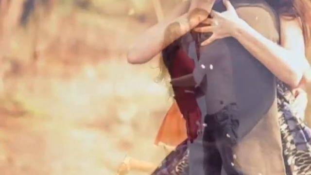 Dil diyan gallan video whatsapp video, tiger jinda hai movie song