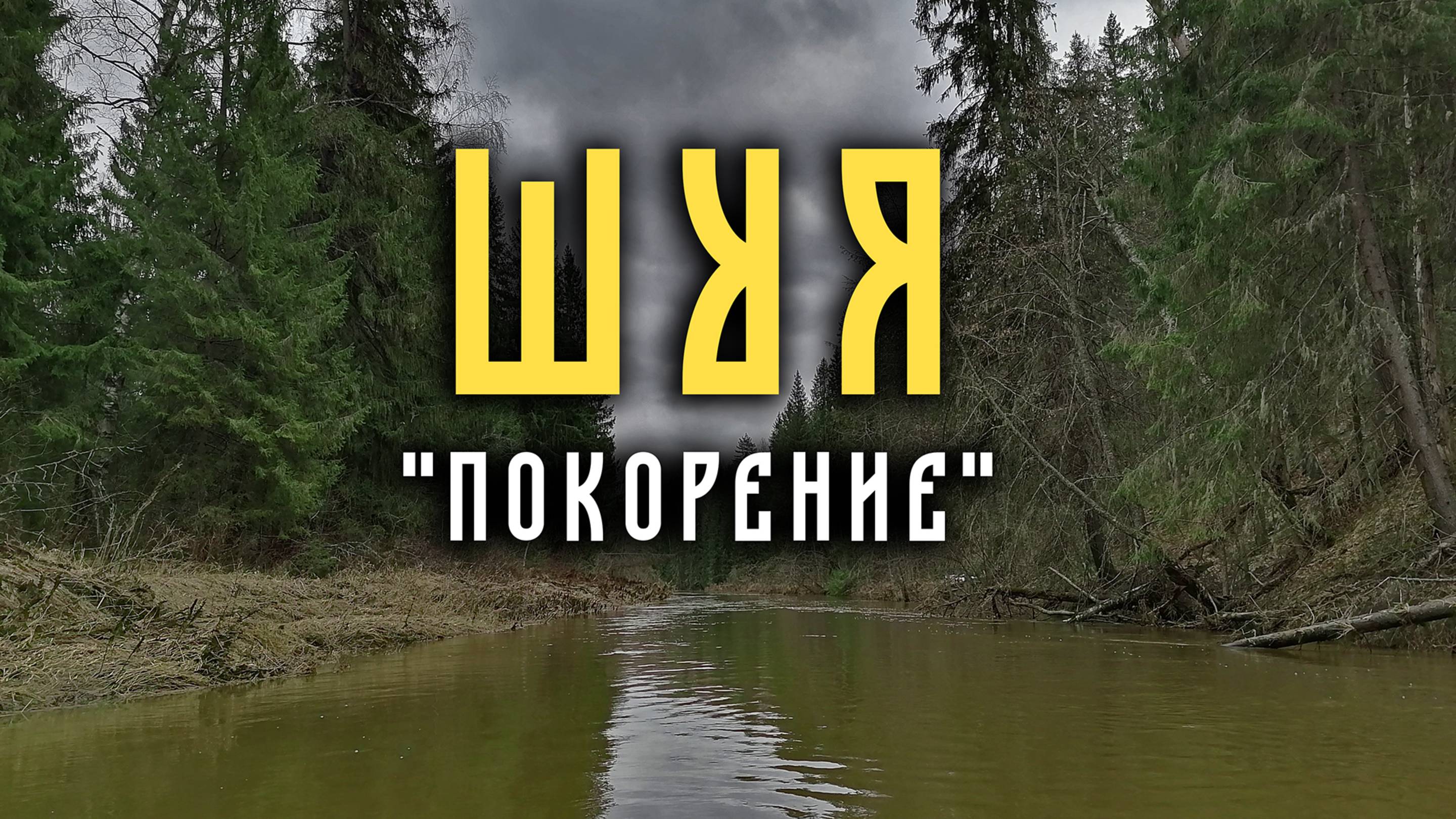 Шуя Костромская. Апрель 2024 года