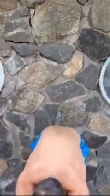 Видео Новости-N: Артем Ильюк облился холодной водой