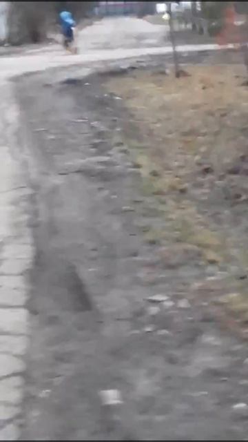 Собаки бегут и пугают женщину