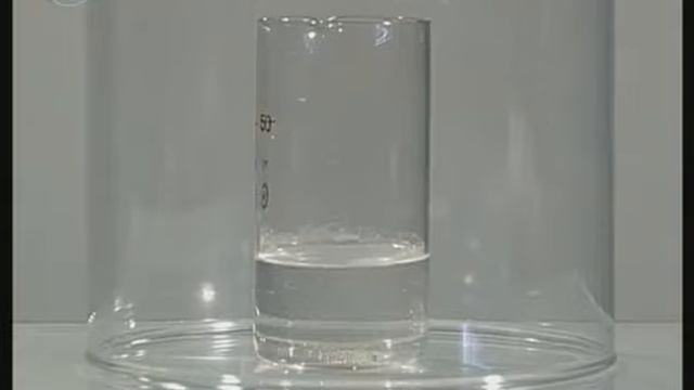 Обнаружение дыхания листа