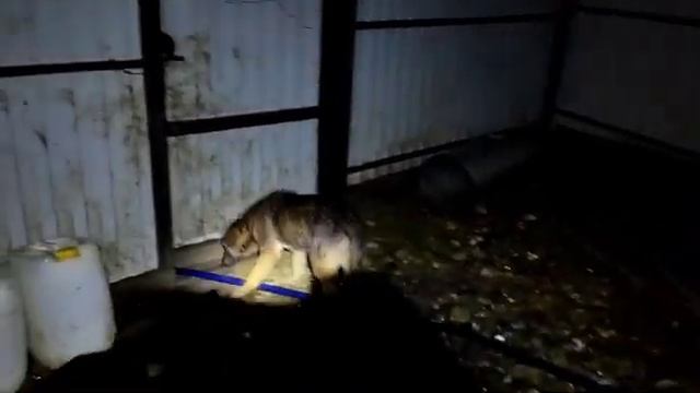 Как мы выживали без воды в приюте.