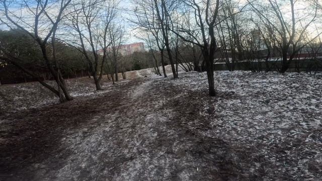 Traxxas X-maxx первый выезд