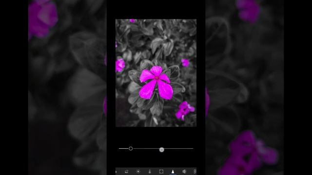 Lightroom editing || Dark Tone effect || Natural photo editing💯 || Lr premium apk download 💯 ||