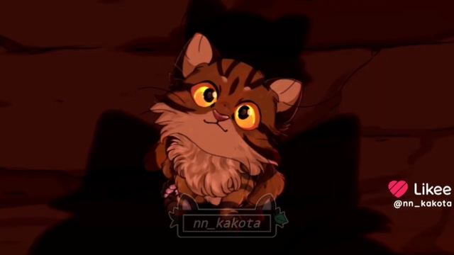 Когтишка коты воители