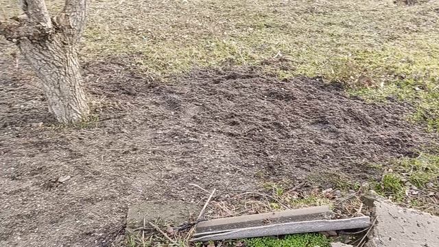 Мазут из Анапы переработали в пиролизной установке