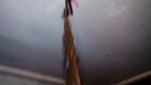 СРОЧНО!!! мухи атакуют. 28.10.2018