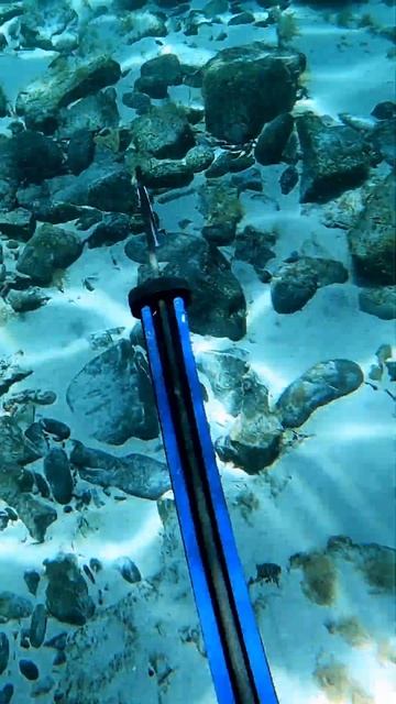 Best of South Australia #shorts #spearfishing #australia #camping #adventure #trending