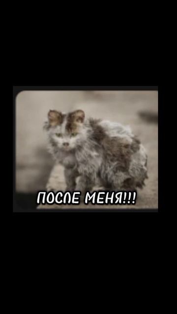 идея моя брать с отметкой! #крутая# #хи-хи-хи#