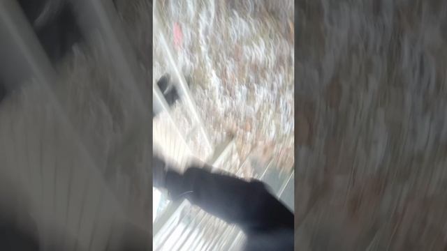 1 сезон.Мой друг стал другом 404.Спасите