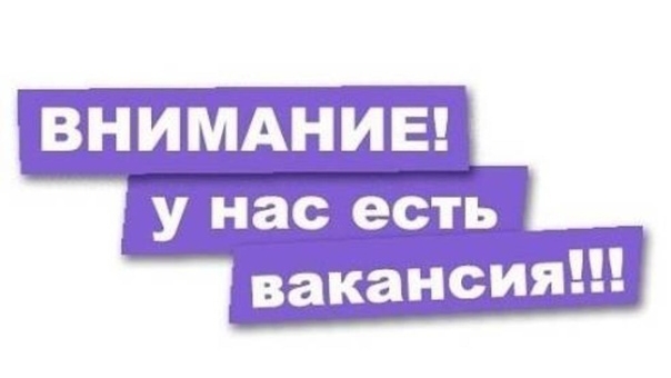 Ищем и обучаем специалистов.  #2025 #владивосток