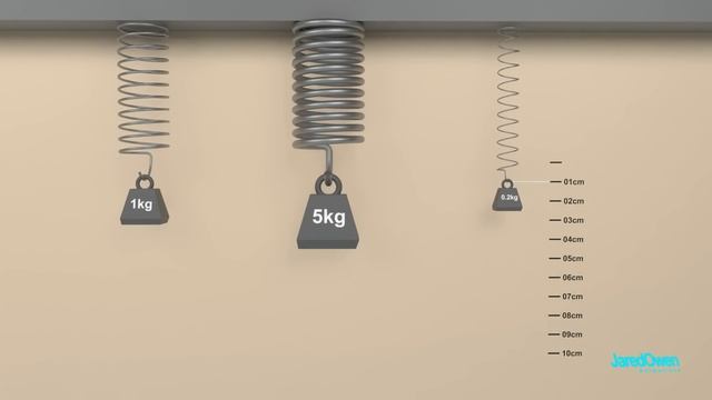 How does a Mechanical Scale work (Spring Scale)