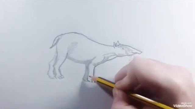 How to draw a Tapir (speed) - Como dibujar un Tapir (rápido)