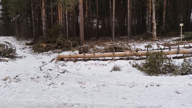 Природа. Хорошо знакомые места