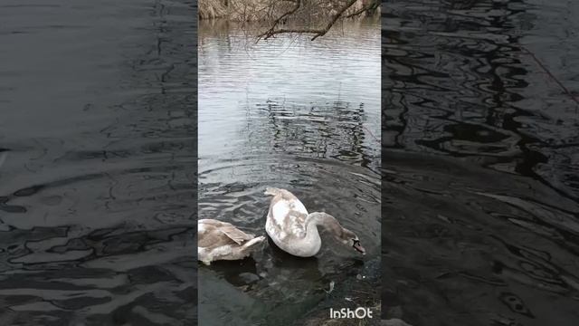 Травмоопасное занятие.