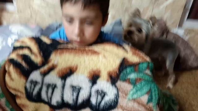плохой человек серия