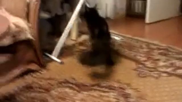 VIDEO0049
