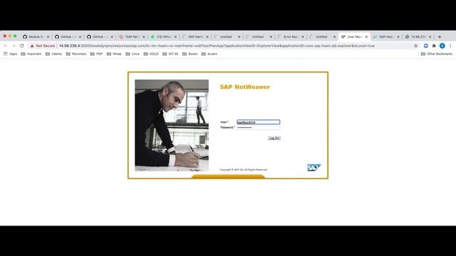 12 SAP CVE