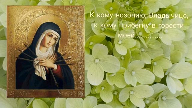 Пресвятая Богородица спаси нас !!!