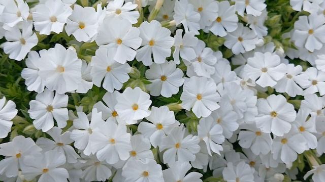 20240525_175902 (online-video-cutter.com)