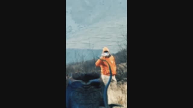 WE HAVE FOUND THE ALIEN !