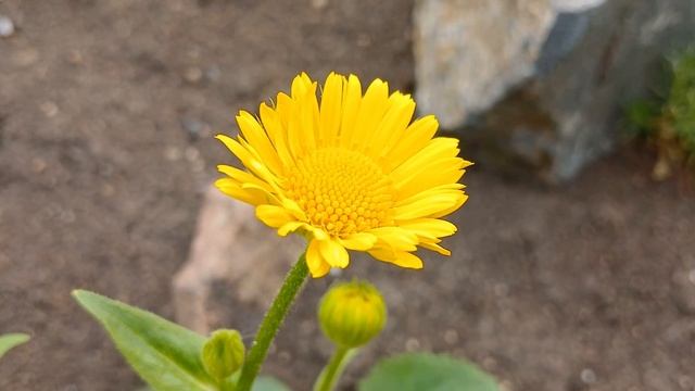 20240525_180225 (online-video-cutter.com)