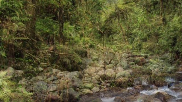 Natural wonders - Mount Bosavi crater (Papua New Guinea)
