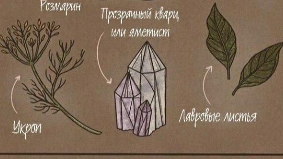 для травниц и травников