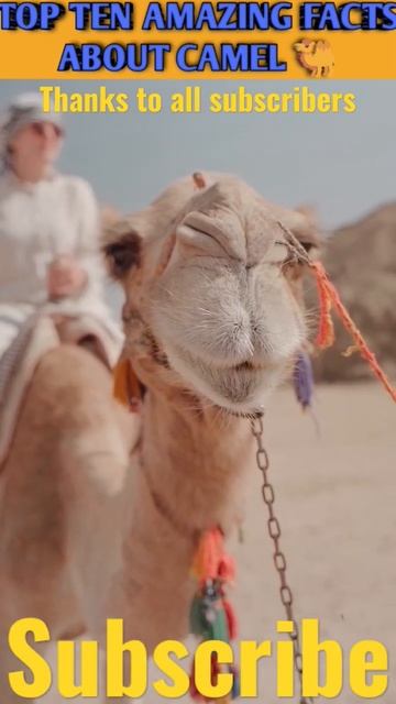 top ten amazing facts about camel / part 2 / amazing facts about animals #short #facts #shortfeed