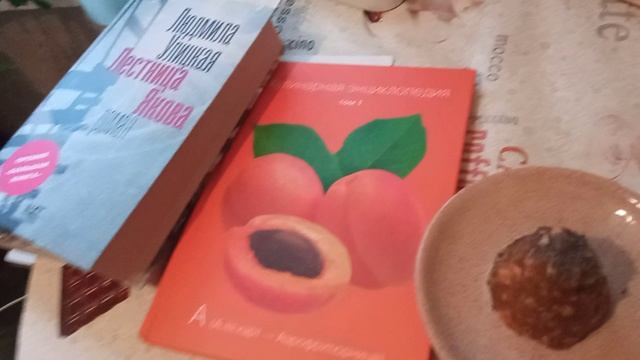 Завтрак с книгой: каша, муравейник, стажировки и стремление к новому)